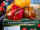 Annata difficile, ma di grande qualità, ottimo mercato per il Peperone di Carmagnola [VIDEO]