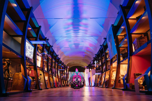 Al Museo Regionale di Scienze Naturali, la collazione dialoga con le nuove opere di NUCLEO Al Museo Regionale di Scienze Naturali, la collazione dialoga con le nuove opere di NUCLEO