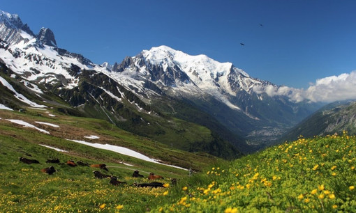 Al via la terza edizione di &quot;Un Grado e Mezzo&quot;: il festival diffuso tra le località alpine