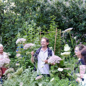 Dalle passeggiate botaniche al dopolavoro in giardino: al via gli eventi green di Palazzo Madama