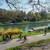 Moncalieri, contro i 'furbetti della bici' arriva il limite dei 10 km/h Moncalieri, contro i 'furbetti della bici' arriva il limite dei 10 km/h