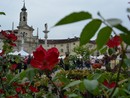 A Venaria Reale, un weekend di fiori e profumi con la Festa delle rose