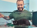 Nichelino, salvato pure l'ultimo dei 15 gattini abbandonati lungo le rive del Sangone