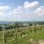 Viaggio in Piemonte: tra città d’arte, montagne e sapori autentici