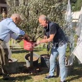 A Pontida il tributo a Bossi: Calderoli e Leoni piantano un ulivo e cantano 'Va pensiero'