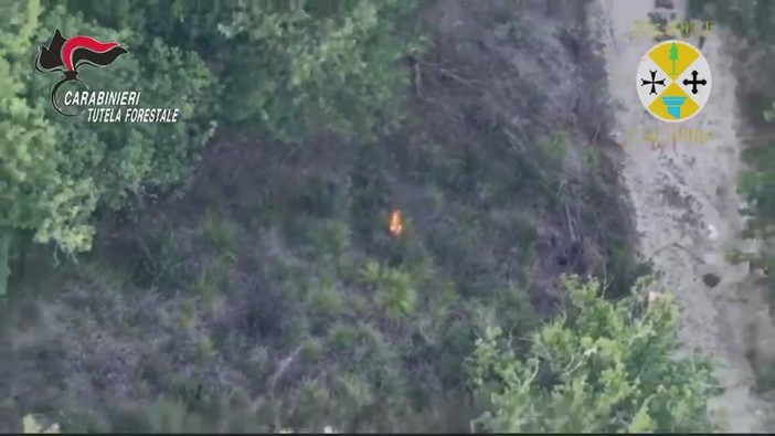 Vibo Valentia, appicca il fuoco in un bosco ma viene ripreso da un drone