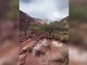 Inondazione improvvisa al Grand Canyon, le immagini dell'onda di fango
