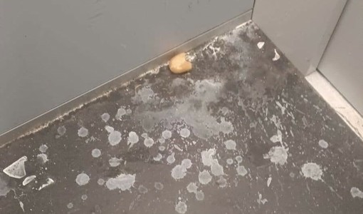 Moncalieri, incivili vandalizzano l'ascensore della passerella di corso Trieste Moncalieri, incivili vandalizzano l'ascensore della passerella di corso Trieste