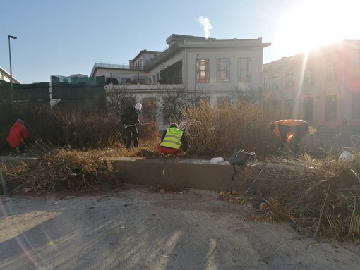 I volontari di Torino Spazio Publico ripuliscono il giardino di via Cigna. Lomanto: &quot;Più fondi per il verde&quot;