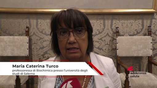 Farmaci: biochimica Turco, 'studiare meccanismi per molecole efficaci solo su processo patologico' Farmaci: biochimica Turco, 'studiare meccanismi per molecole efficaci solo su processo patologico'