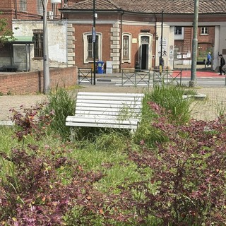 L'opera d'arte vandalizzata