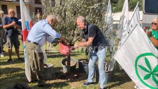 A Pontida il tributo a Bossi: Calderoli e Leoni piantano un ulivo e cantano 'Va pensiero' A Pontida il tributo a Bossi: Calderoli e Leoni piantano un ulivo e cantano 'Va pensiero'