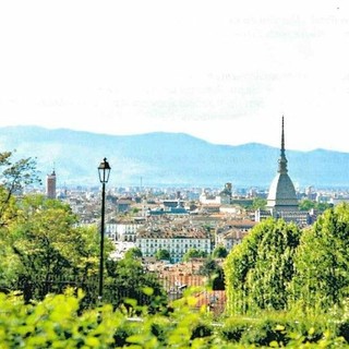 Lusso e biodiversità, perché i quartieri ricchi hanno più natura? Lo studio dell'Università di Torino