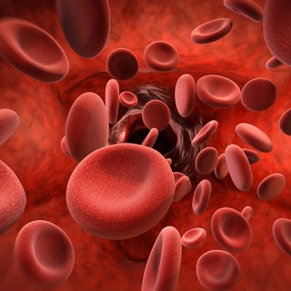 Visita ematologica: quando serve e in cosa consiste