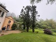 Edizione 2026 per Verde Svelato