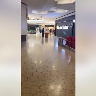 Paura in Usa, spari in un centro commerciale in Michigan: il video delle persone in fuga Paura in Usa, spari in un centro commerciale in Michigan: il video delle persone in fuga
