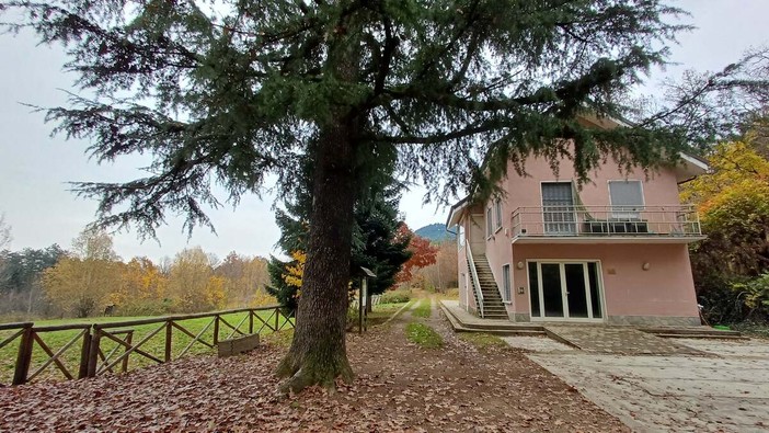 Il vivaio comunale del parco del Monte San Giorgio Il vivaio comunale del parco del Monte San Giorgio