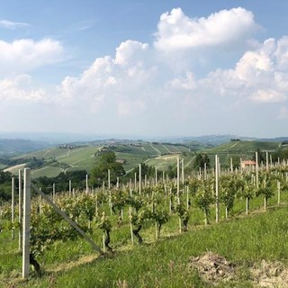 Viaggio in Piemonte: tra città d’arte, montagne e sapori autentici