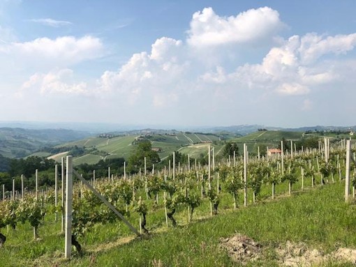 Viaggio in Piemonte: tra città d’arte, montagne e sapori autentici