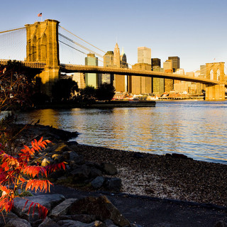 Viaggi in America: buoni motivi per scegliere i tour Versis America