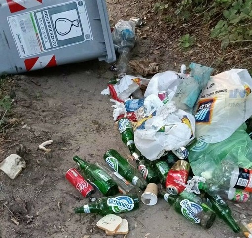 Vandali in azione al parco del Boschetto di Nichelino
