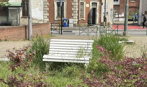 L'opera d'arte vandalizzata