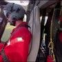 Disperso ultraleggero con due persone, le ricerche in elicottero nel Cosentino Disperso ultraleggero con due persone, le ricerche in elicottero nel Cosentino
