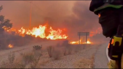 Incendio devastante in Andalusia, i vigili del fuoco cercano di domare le fiamme Incendio devastante in Andalusia, i vigili del fuoco cercano di domare le fiamme