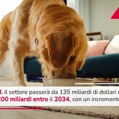Pet food, previsto boom nel 2034: crescita 48% e 200 miliardi