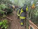Anziana cavalla resta bloccata nel fango: i Vigili del fuoco la portano in salvo
