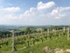 Viaggio in Piemonte: tra città d’arte, montagne e sapori autentici