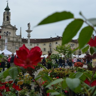 A Venaria Reale, un weekend di fiori e profumi con la Festa delle rose