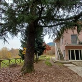 Il vivaio comunale del parco del Monte San Giorgio Il vivaio comunale del parco del Monte San Giorgio