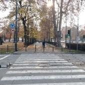 Immagine di repertorio