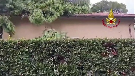 Tromba d'aria nel Lucchese, alberi caduti su auto e abitazioni Tromba d'aria nel Lucchese, alberi caduti su auto e abitazioni