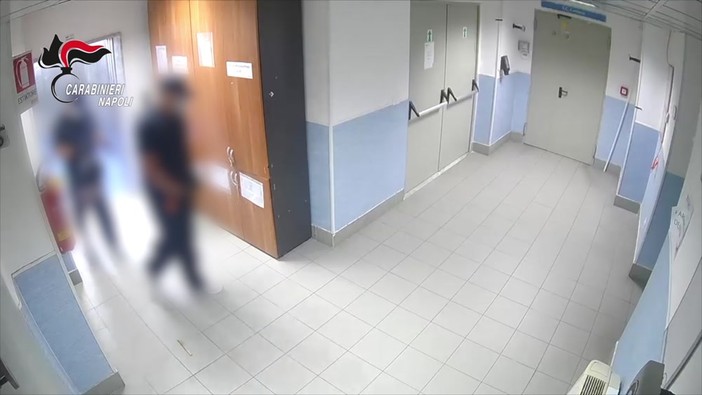 Furto di farmaci oncologici al Pascale di Napoli, le immagini dei ladri all'opera Furto di farmaci oncologici al Pascale di Napoli, le immagini dei ladri all'opera