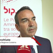 Occhiuto: "Evitare insorgenza futuro ai divide che penalizzi microimprese" Occhiuto: "Evitare insorgenza futuro ai divide che penalizzi microimprese"