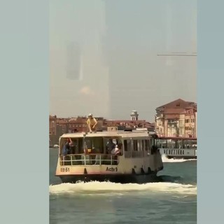 Denunciato giovane a Venezia, sul tetto di un vaporetto per bravata social Denunciato giovane a Venezia, sul tetto di un vaporetto per bravata social