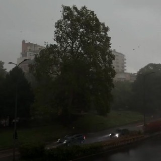 Nubifragio a Milano, raffiche di vento e strade allagate - Il video Nubifragio a Milano, raffiche di vento e strade allagate - Il video