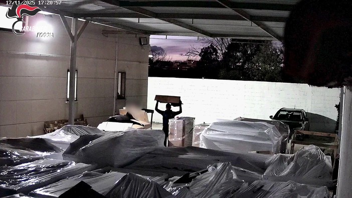 Foggia, ricettazione e riciclaggio pezzi ricambio auto rubate: 8 arresti Foggia, ricettazione e riciclaggio pezzi ricambio auto rubate: 8 arresti