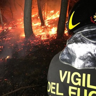 Maxi-incendio devasta la pineta sulle montagne tra Bardonecchia e Oulx [VIDEO]