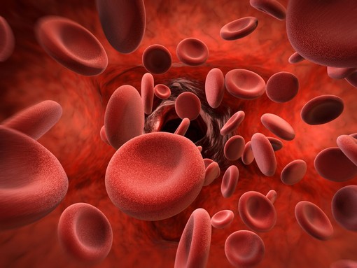 Visita ematologica: quando serve e in cosa consiste