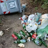 Vandali in azione al parco del Boschetto di Nichelino Vandali in azione al parco del Boschetto di Nichelino