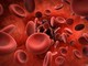 Visita ematologica: quando serve e in cosa consiste