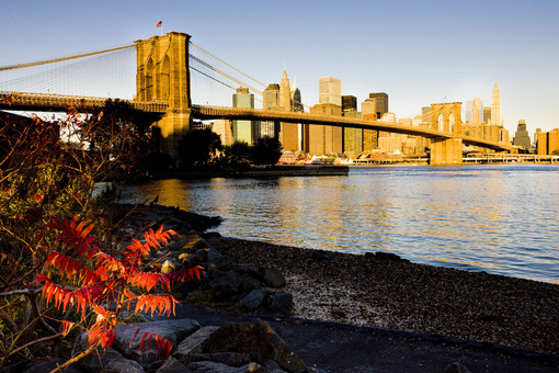 Viaggi in America: buoni motivi per scegliere i tour Versis America
