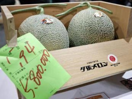 Due meloni venduti a 31mila euro, l'asta choc in Giappone per i frutti 'd'oro' Due meloni venduti a 31mila euro, l'asta choc in Giappone per i frutti 'd'oro'