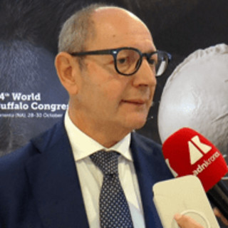 Raimondo (Tutela mozzarella bufala campana Dop): "Filiera 1,2-1,3 mld, quasi una Fiat" Raimondo (Tutela mozzarella bufala campana Dop): "Filiera 1,2-1,3 mld, quasi una Fiat"