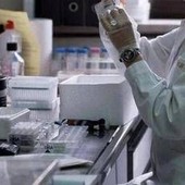 Neoplasie urologiche, Irccs Regina Elena Roma protagonista di 2 studi all'Esmo Neoplasie urologiche, Irccs Regina Elena Roma protagonista di 2 studi all'Esmo