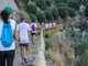 Tumori, torna 'Fitwalking for Ail', camminata solidale per i pazienti ematologici