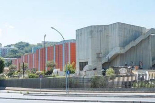 Furto delle opere di Antonello da Messina, museo riapre al pubblico: continuano le indagini Furto delle opere di Antonello da Messina, museo riapre al pubblico: continuano le indagini